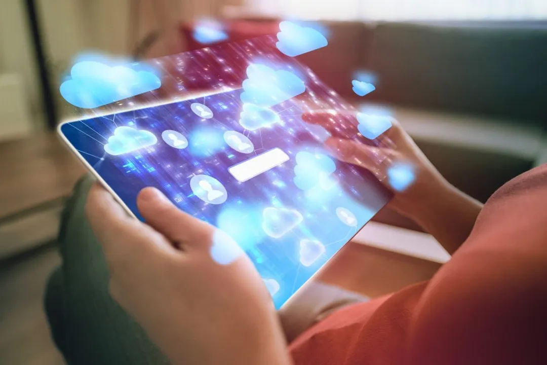 What roles exist in digital twin development?