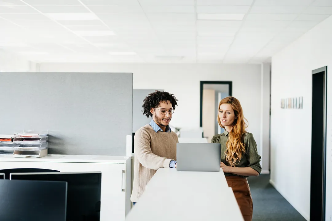 What roles exist in digital twin development?, Data Guardians