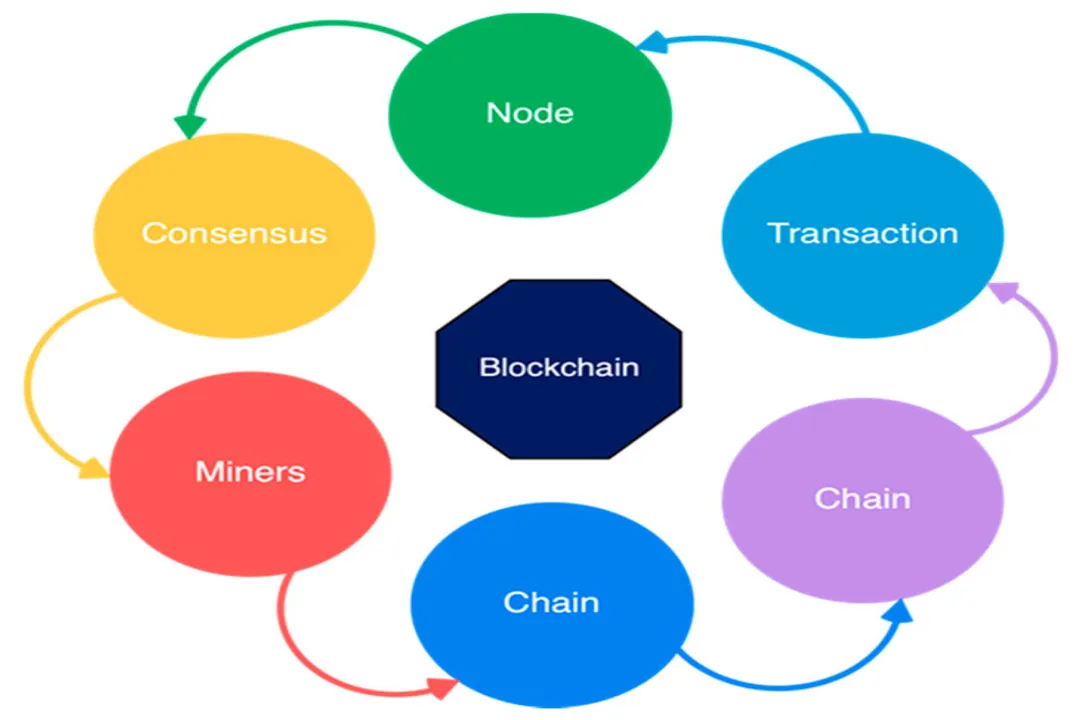 What roles exist in e-voting systems?