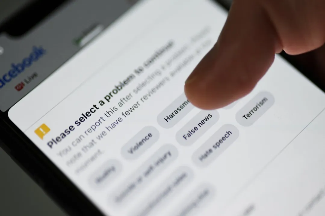 What roles exist in misinformation analysis?