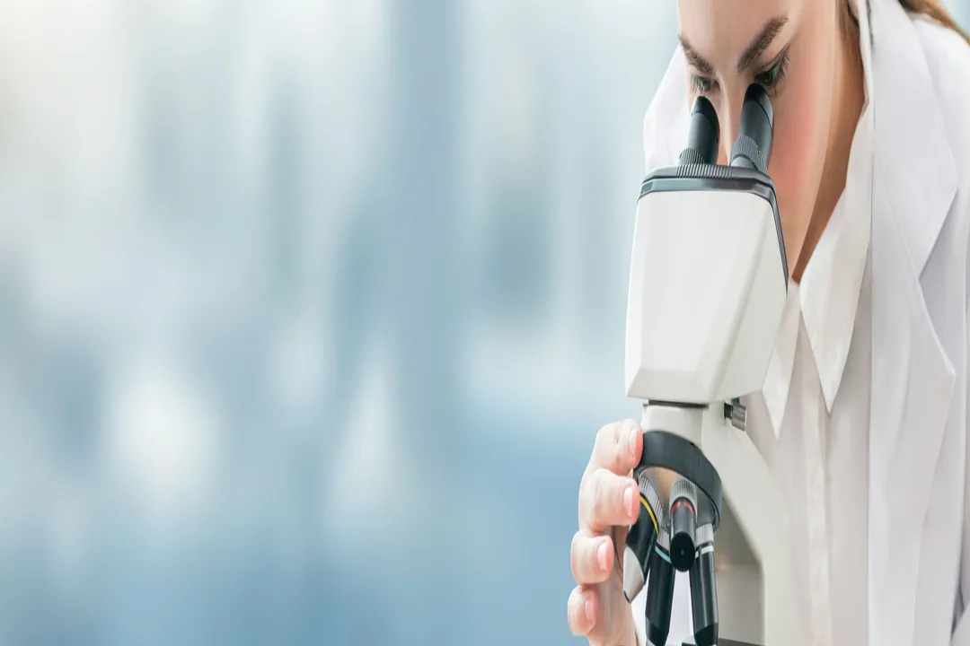 What roles exist in molecular simulation?