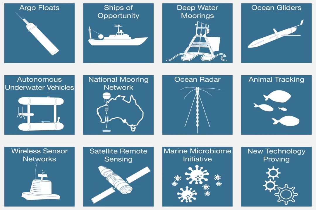 What roles exist in ocean data platforms?