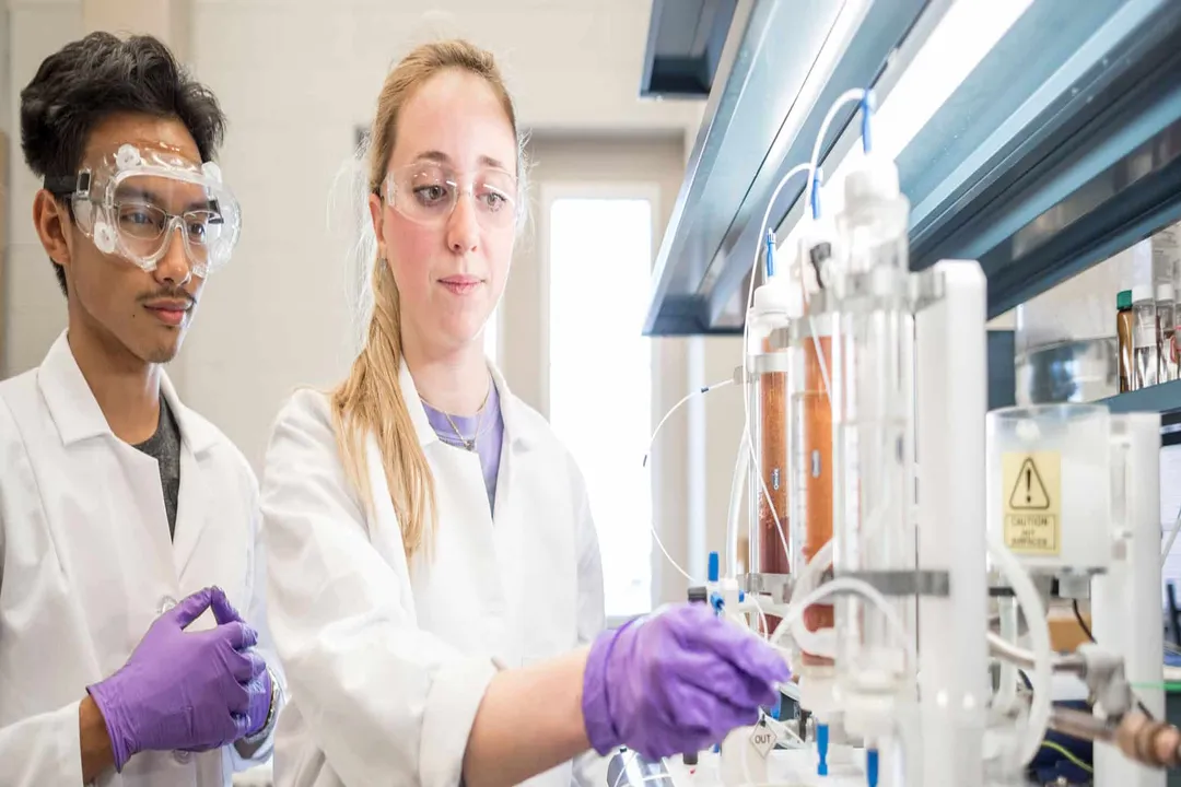 What roles exist in safety culture engineering?