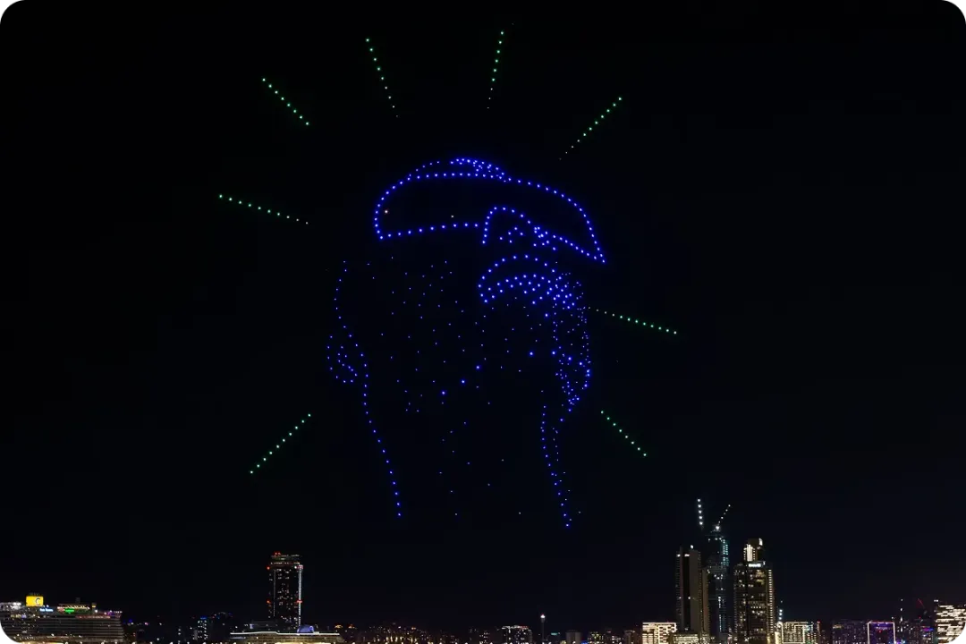 What roles exist in swarm decision-making?, Functional States