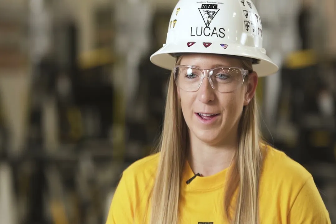 What Skills Are Needed for Energy Careers?, Digital Fluency Data