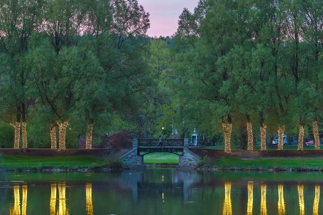 Which Careers Are Best for Entrepreneurship?, Financial Acumen