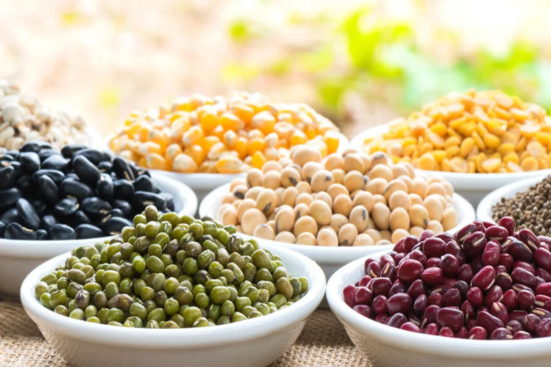 Are adzuki beans safe during pregnancy?, Digestive Comfort