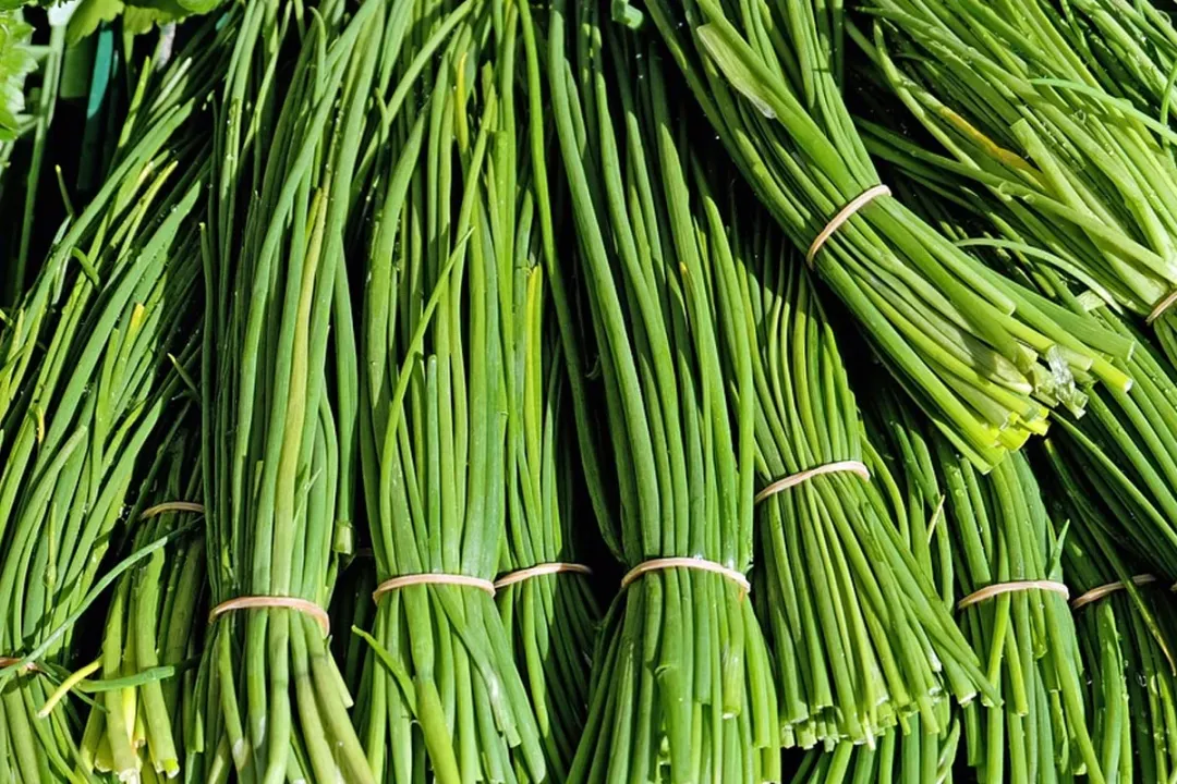 Are chives good for the liver?, Liver Support