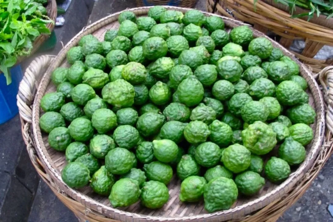 Are kaffir lime leaves healthy?