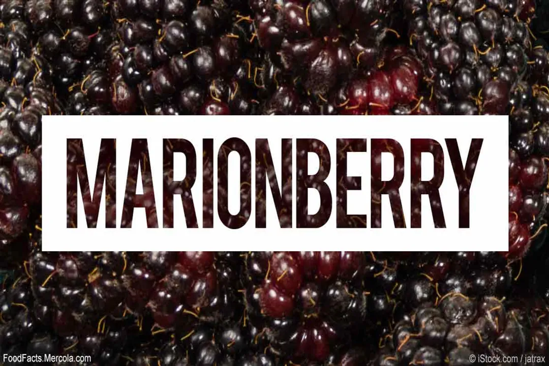 Are Marionberries good for you?