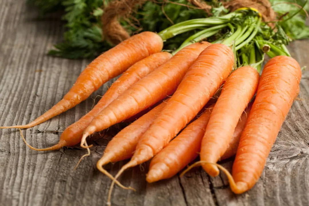 Are raw carrots good for the gut?, Microbial Food Source