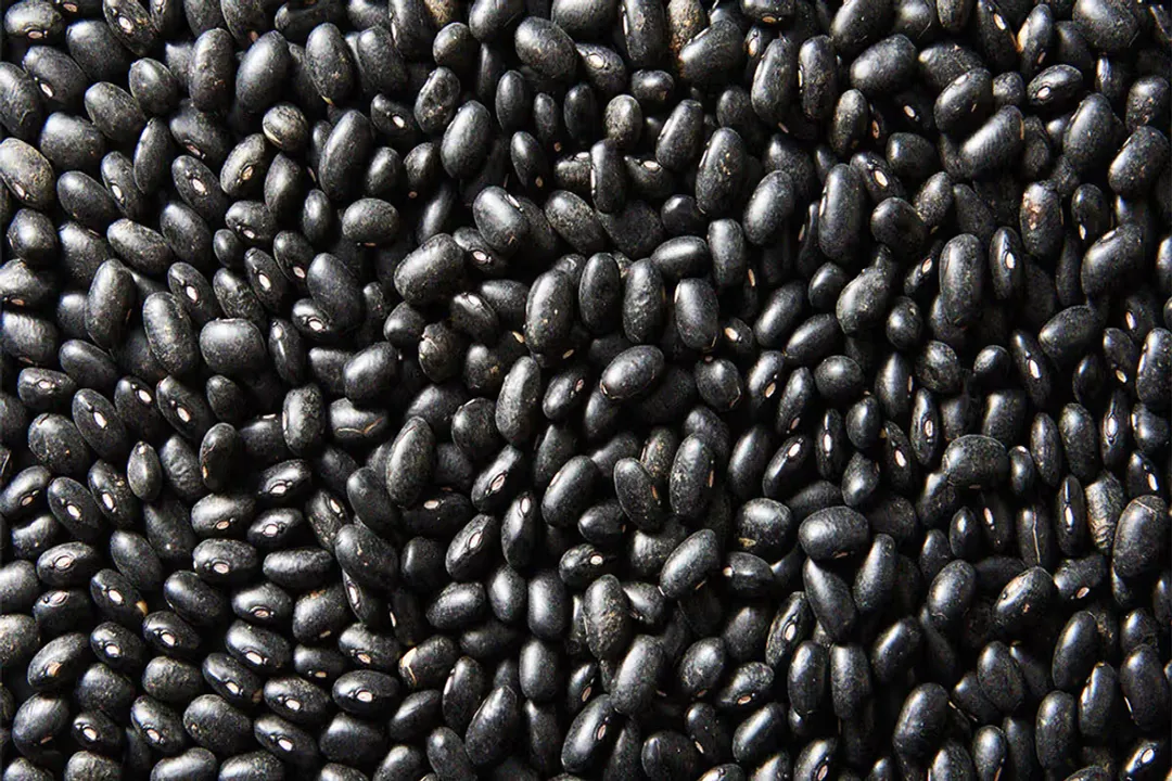 Are turtle beans good for you?, Fiber Density