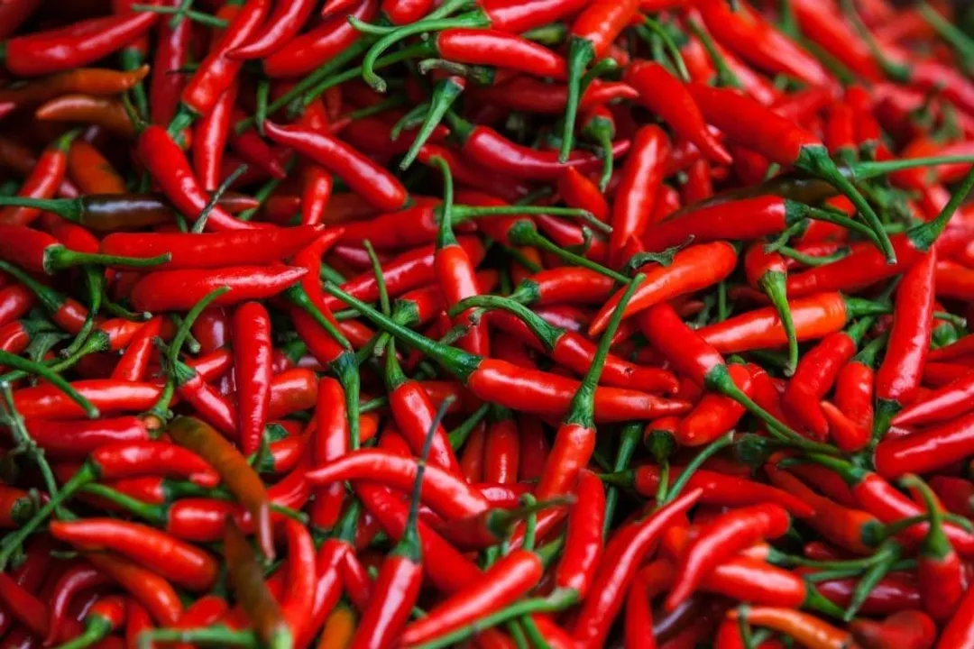 Do chili peppers lower blood pressure?, Active Compound