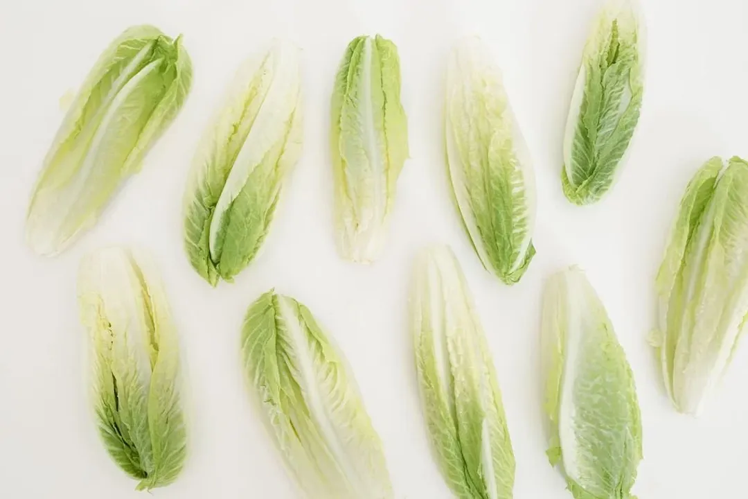 Does lettuce actually have any health benefits?, Hydration Helper