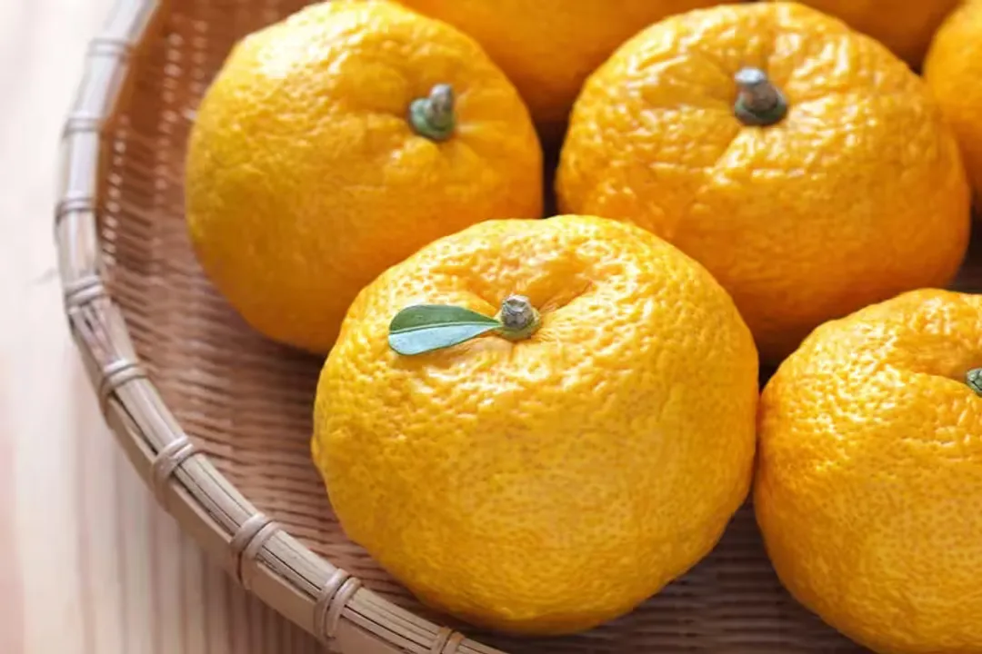 Does yuzu have health benefits?