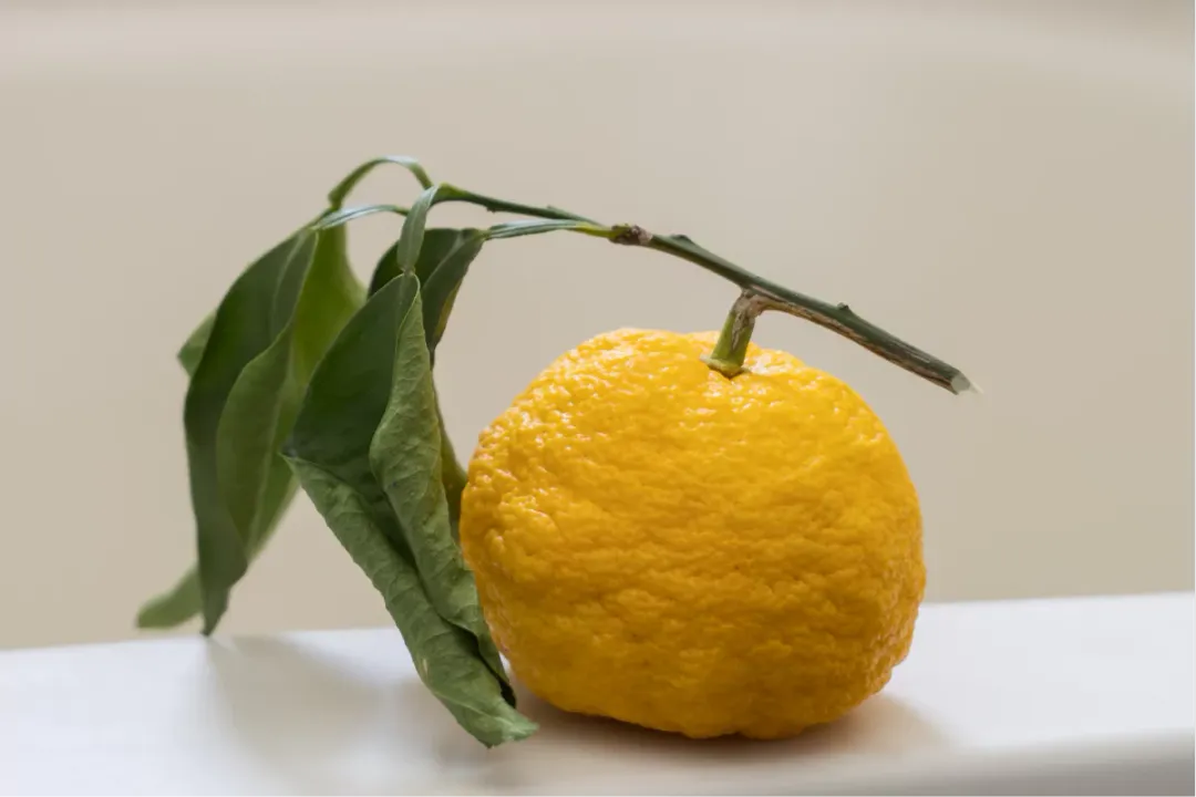 Does yuzu have health benefits?, Aroma Taste