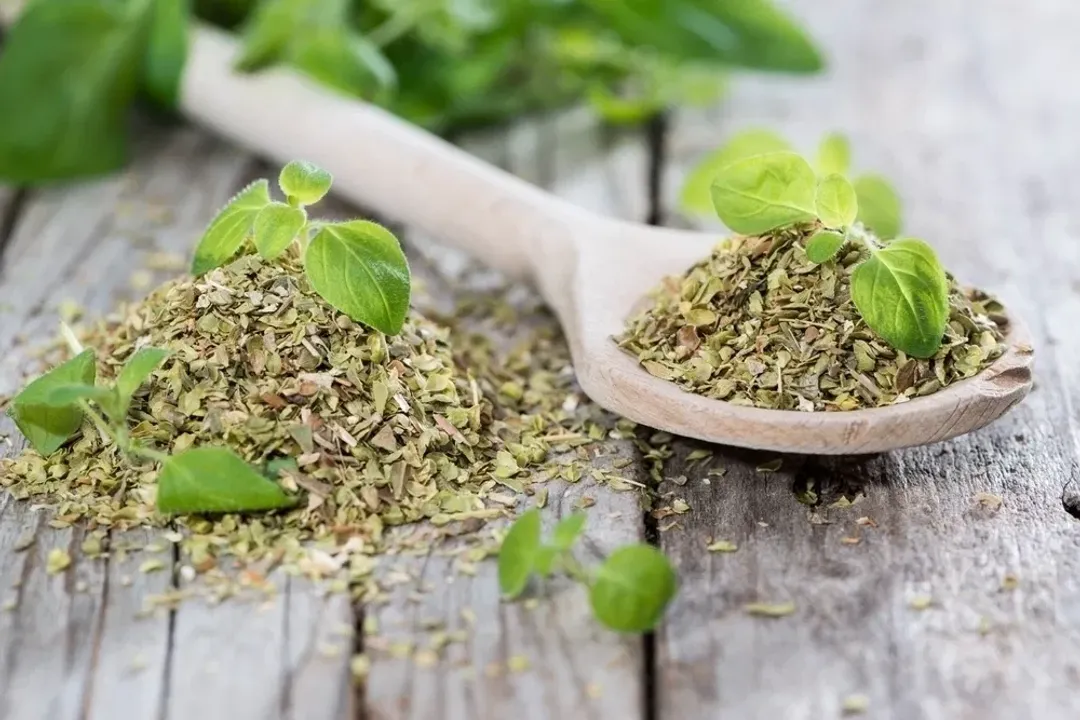How do you use oregano medicinally?, Potent Oil Forms
