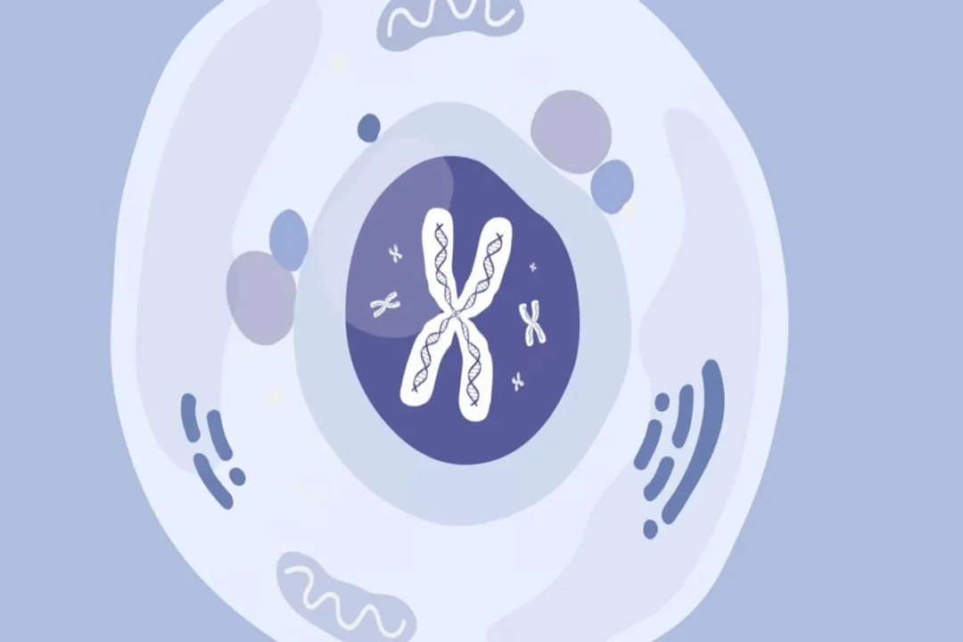 How does Jean therapy work?