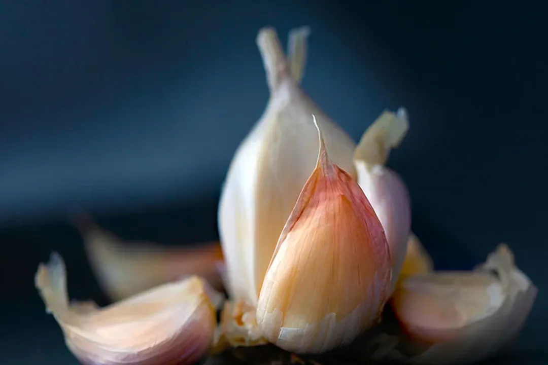 How to release toxins from your body?, Dietary Support