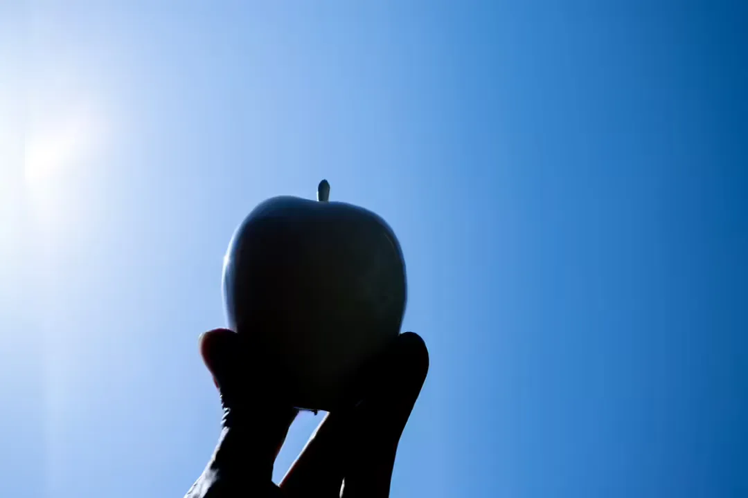 Is afternoon sun worse than morning sun?