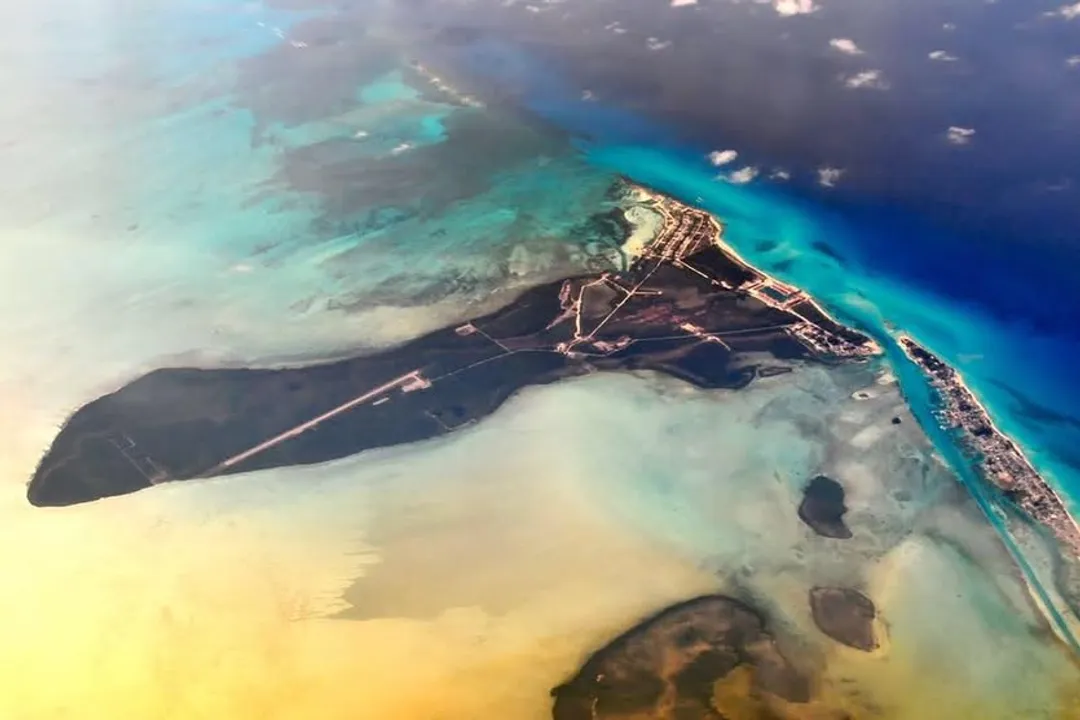 Is amberjack a healthy fish to eat?, Nutrient Profile