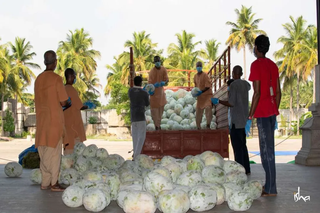 Is ash gourd good for kidneys?