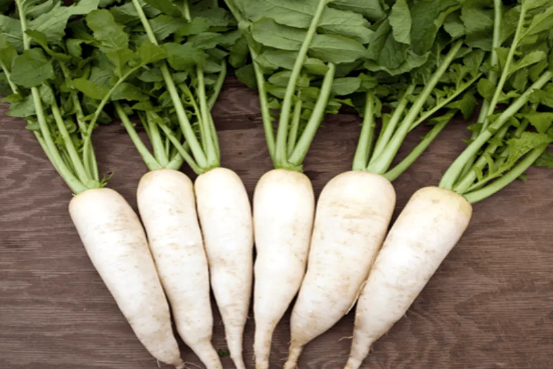 Is daikon a laxative?, Nutritional Support