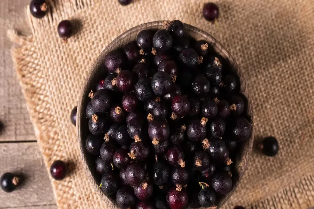 Is it healthy to have acai every day?, Daily Concerns