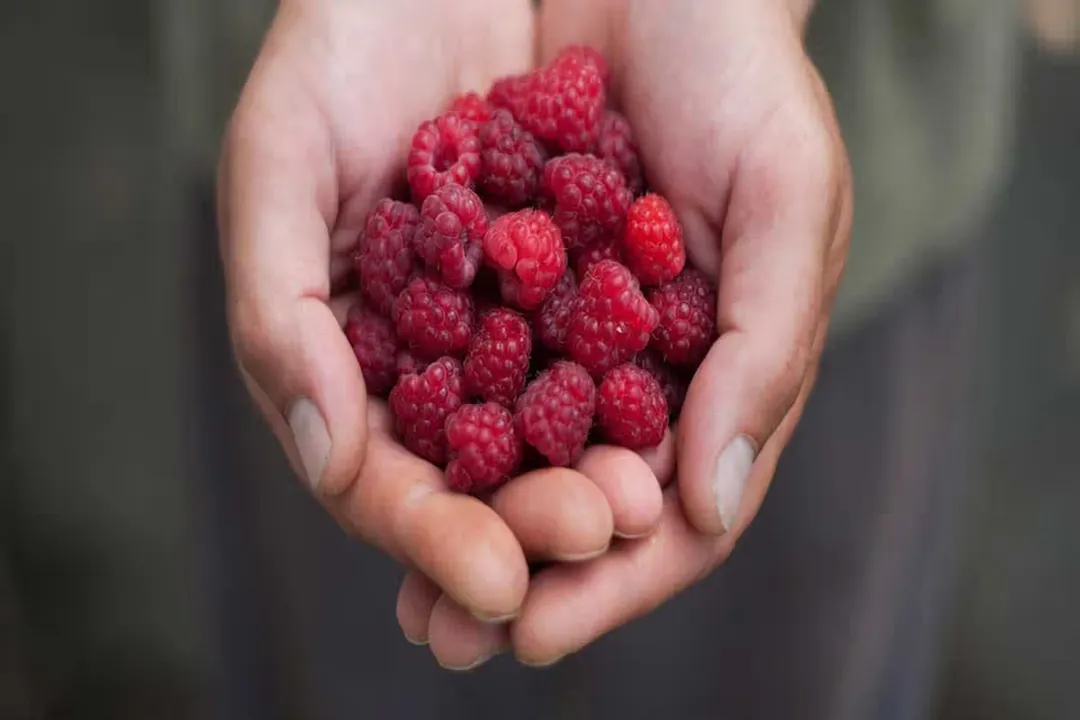 Is it okay to eat raspberries every day?, Nutrient Snapshot