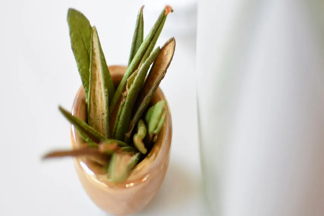 Is juniper berry tea safe during pregnancy?, Pregnancy Concerns