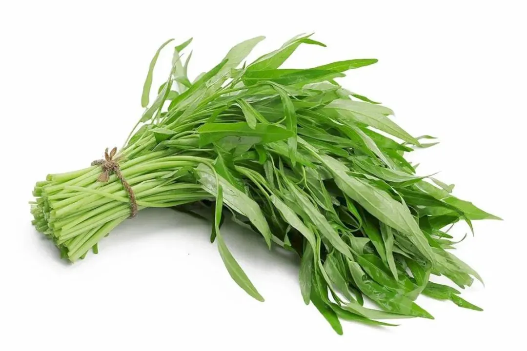 Is morning glory healthy?, Culinary Health