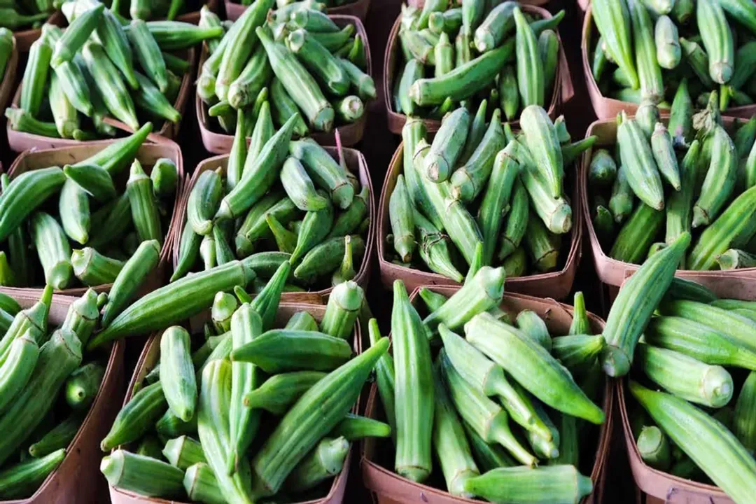 Is okra good for ladies?, Blood Sugar Control