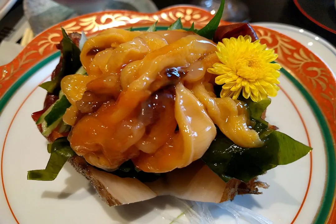 Is sea squirt healthy?