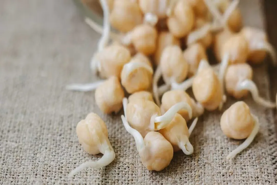 Is sprouted healthier?, Nutrient Shifts