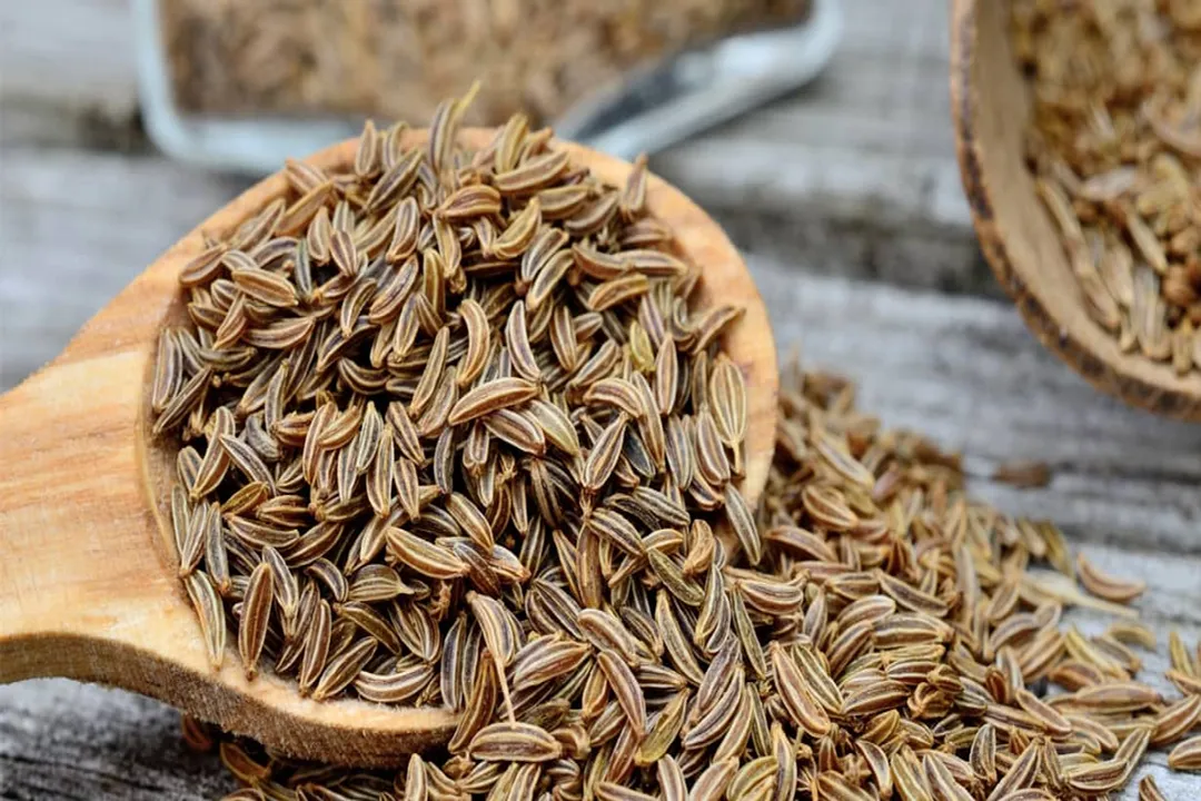 What are caraway seeds used for medicinally?, Rich in Beneficial Compounds