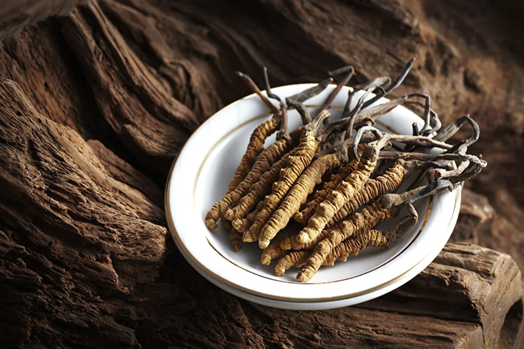 What are the main benefits of cordyceps?, Anti-Inflammatory Effects