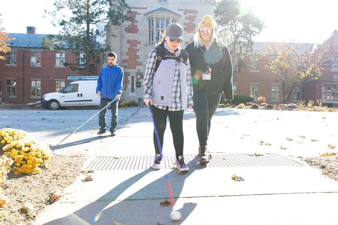 What are the three main types of blindness?, Legal Definition