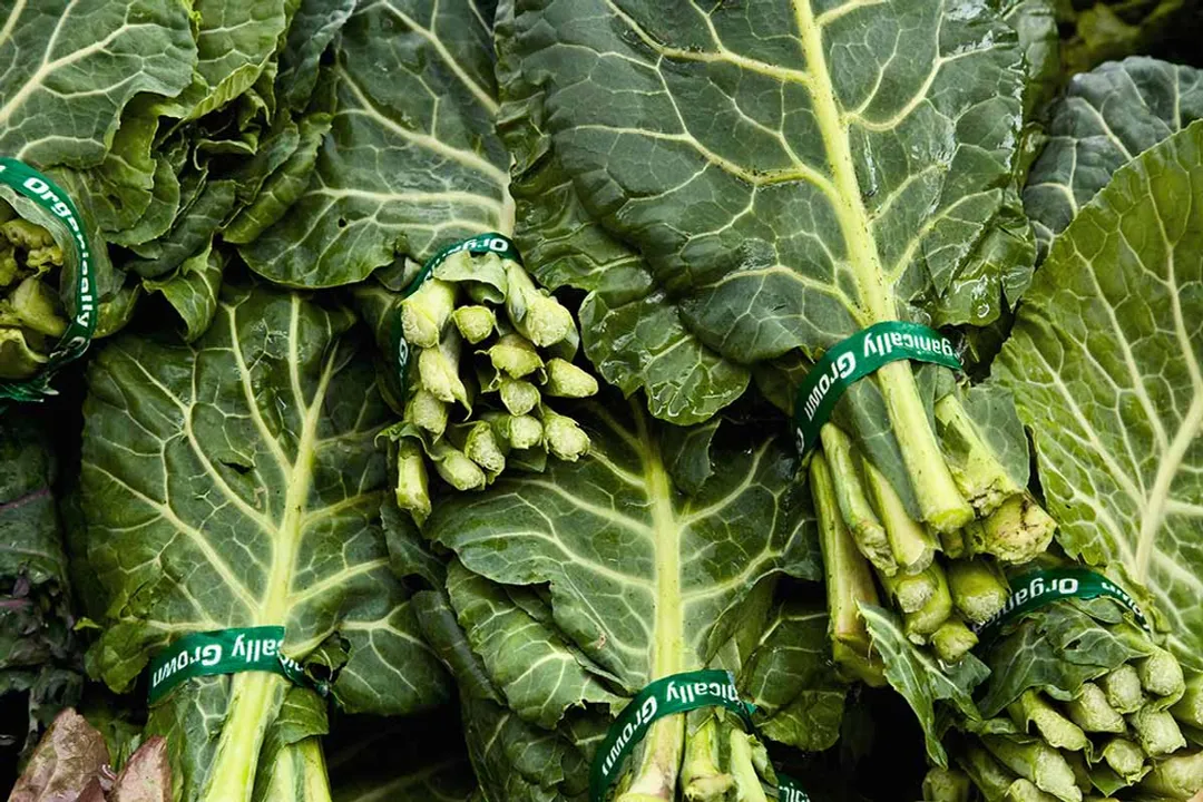 What do collard greens do for your body?, Supporting Bones