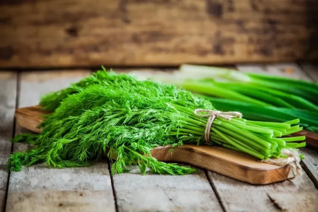 What does dill do for your health?, Flavor Profile