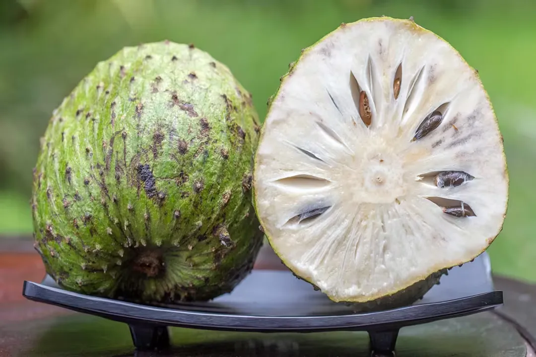 What does soursop do to your body?, Digestive Aid