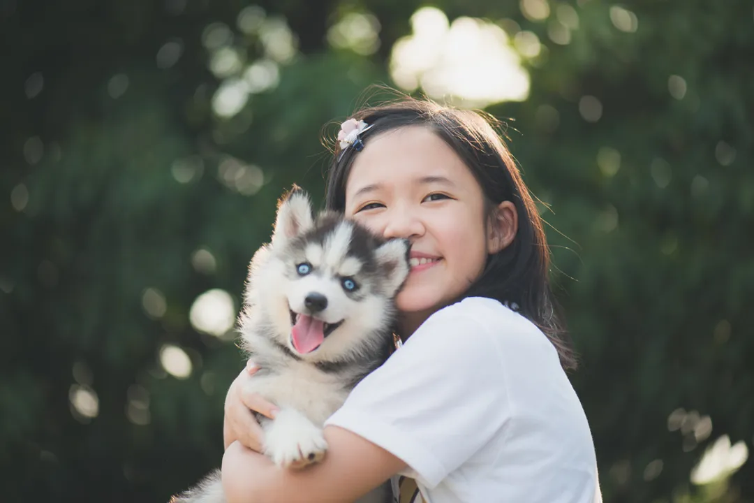 What is a veterinary doctor?, Training Required