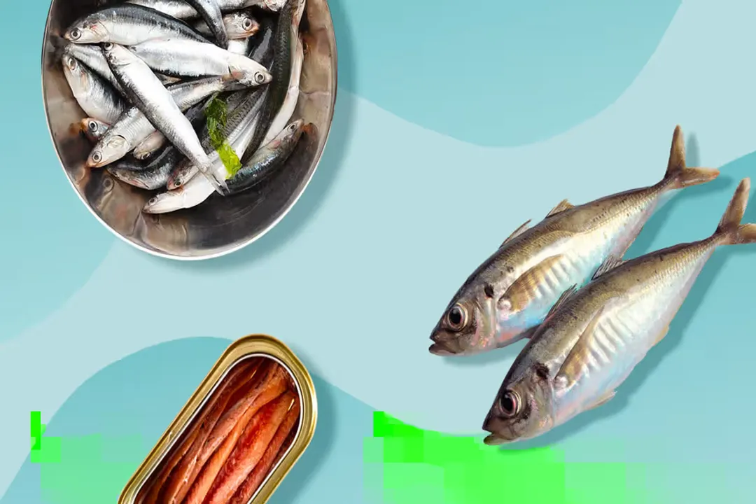 What is healthier, sardines or anchovies?, Preparation Versus Freshness