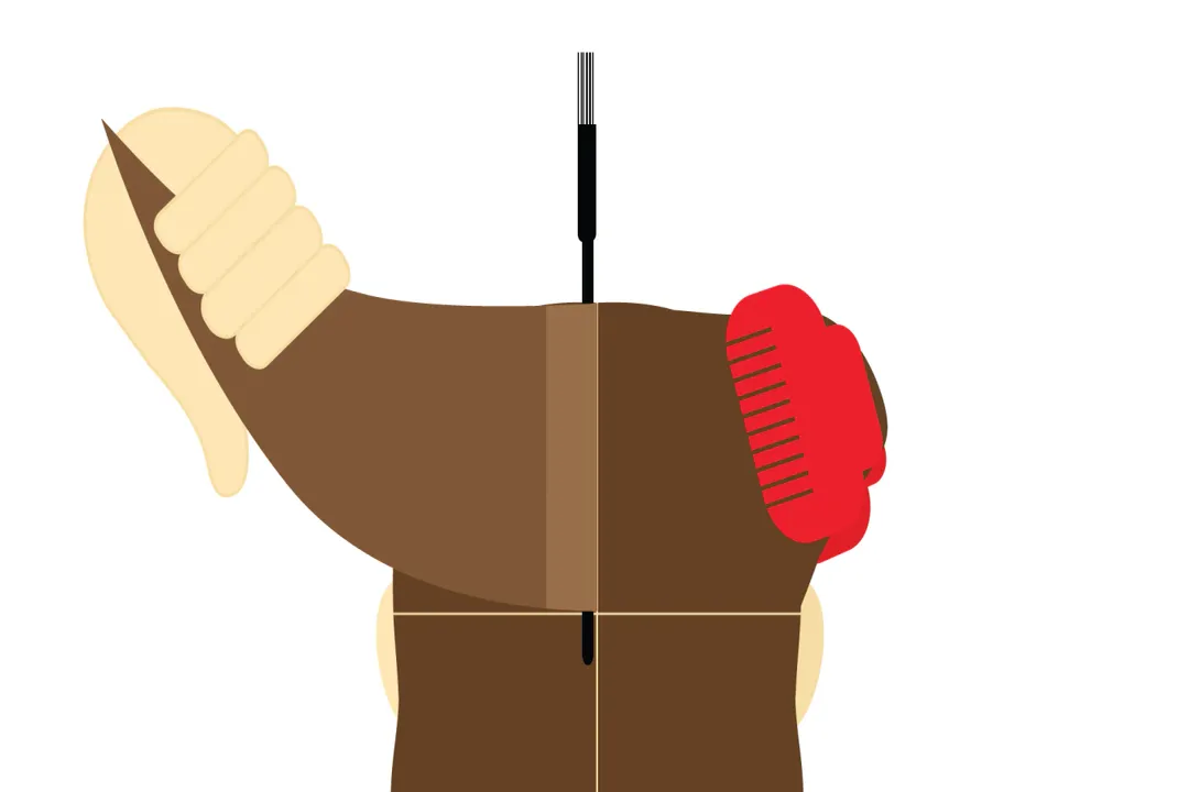 What is regrowth in hairdressing?, Hair Growth