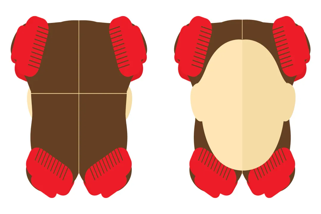 What is regrowth in hairdressing?, Hair Health