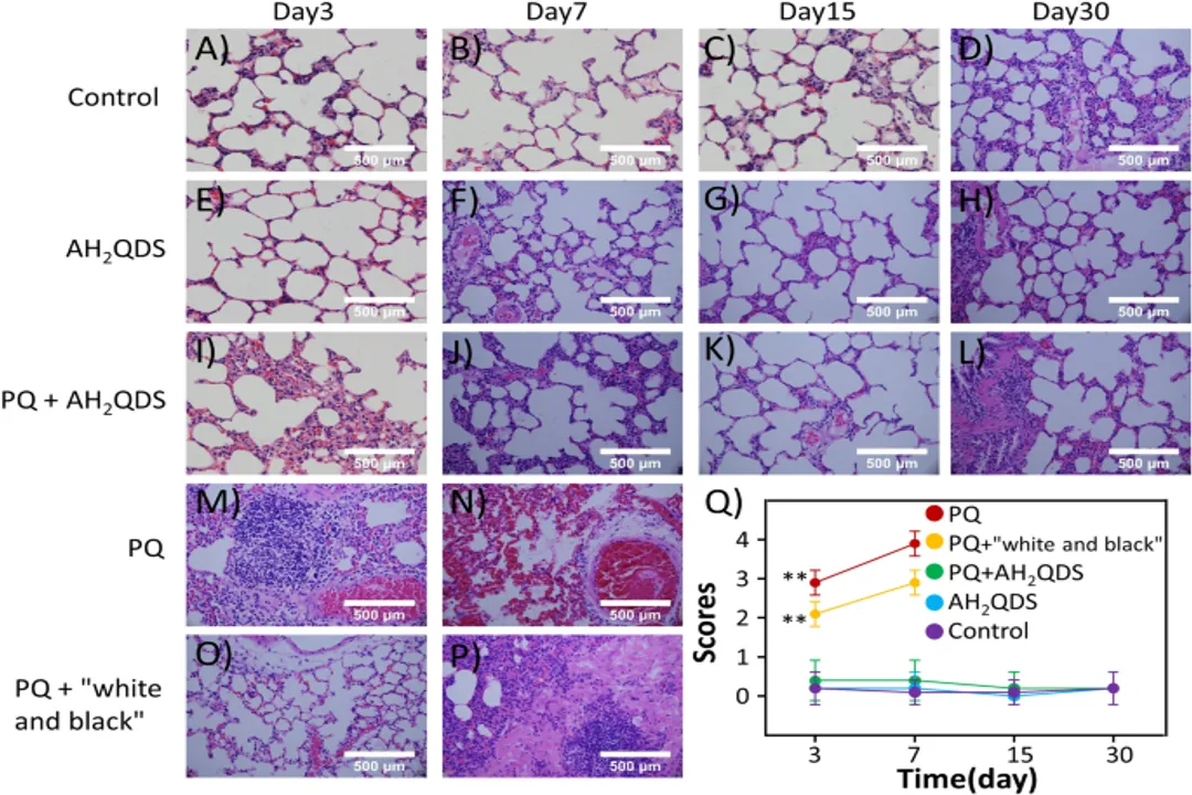 What is the antidote for paraquat?