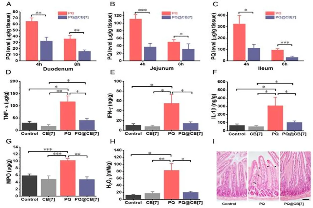 What is the antidote for paraquat?, Toxicity Mechanism