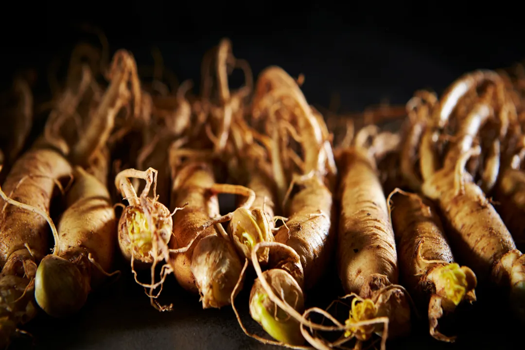 What is the best time to drink Korean ginseng?, Stress Management Timing