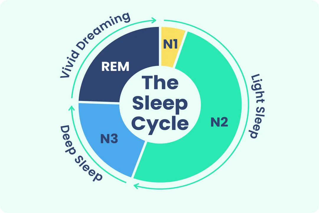 What is the best time to have sleep?, Sleep Stages