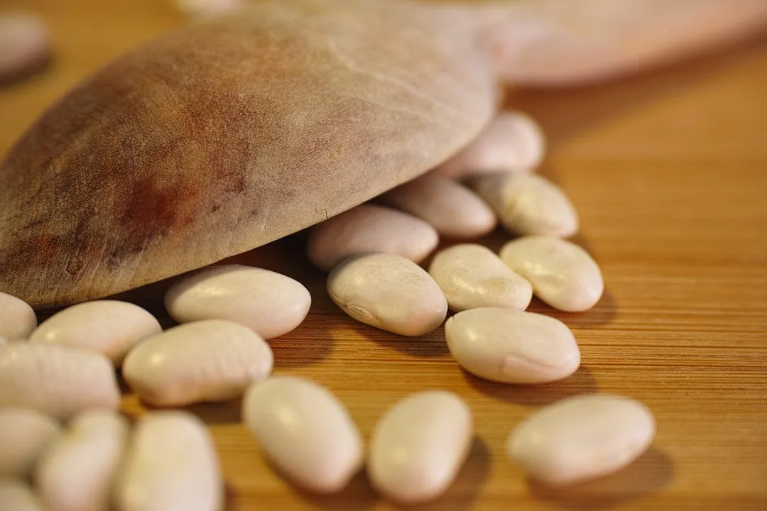 What is the healthiest bean in the world?