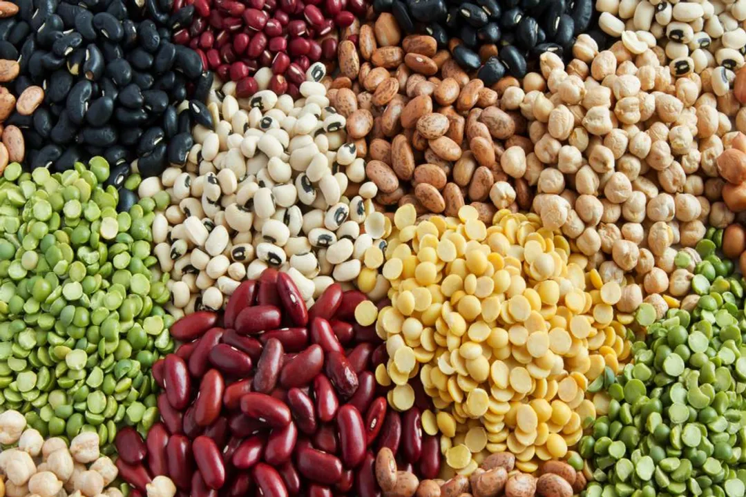 What is the healthiest bean you can eat?, Top Contenders